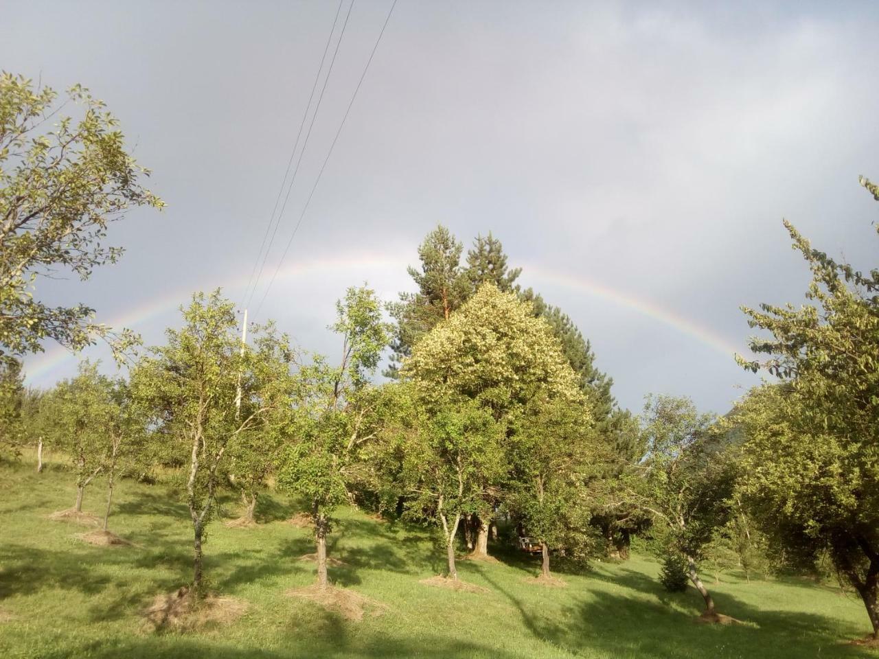 Taramour Cottages. Mojkovac Zewnętrze zdjęcie