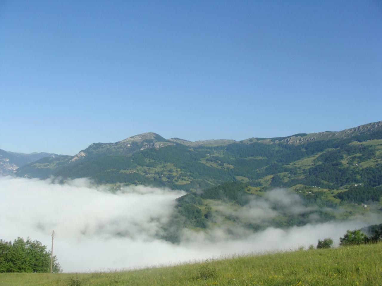 Taramour Cottages. Mojkovac Zewnętrze zdjęcie