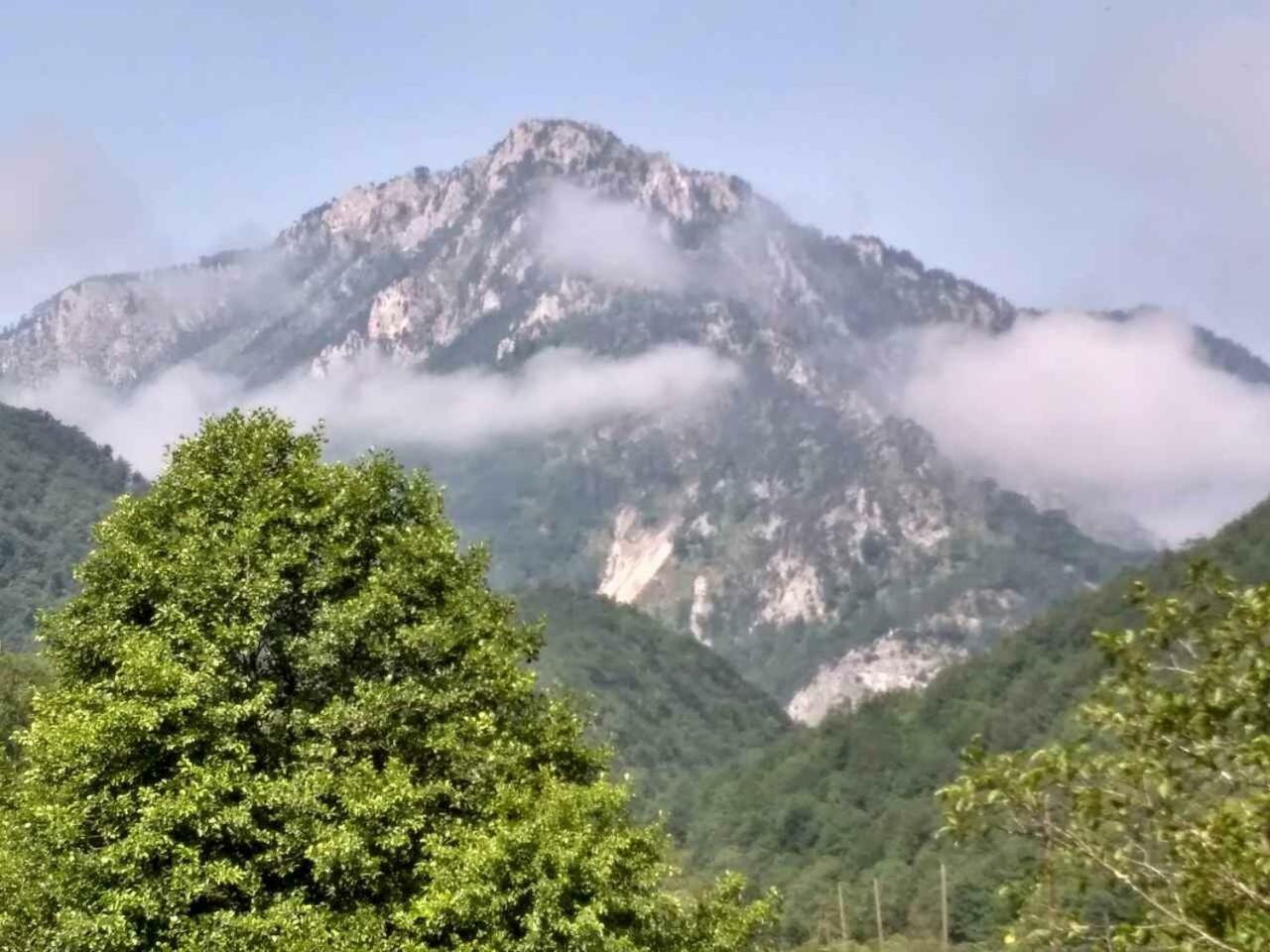 Taramour Cottages. Mojkovac Zewnętrze zdjęcie