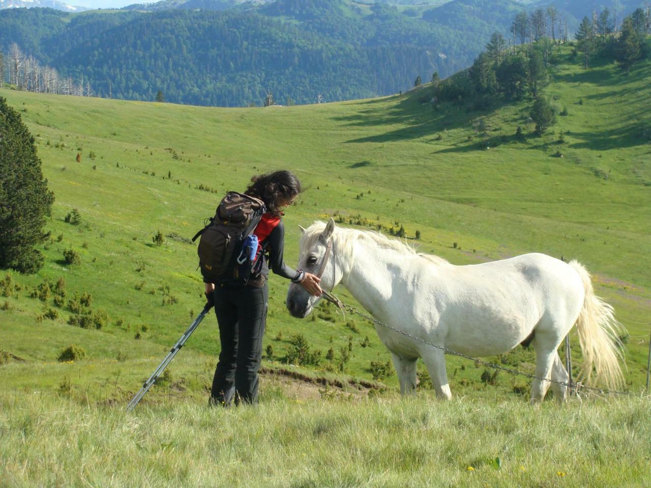 Taramour Cottages. Mojkovac Zewnętrze zdjęcie