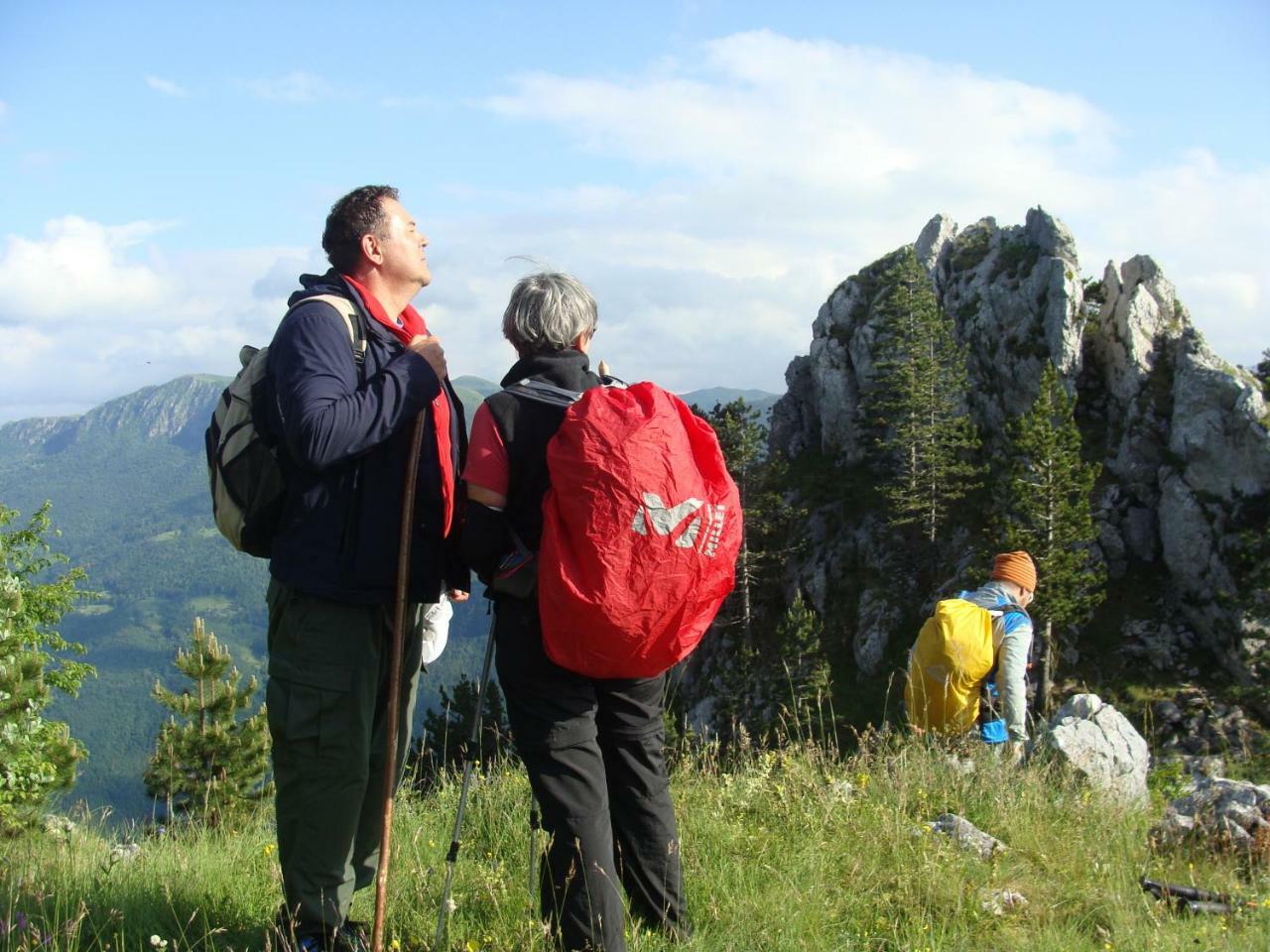 Taramour Cottages. Mojkovac Zewnętrze zdjęcie