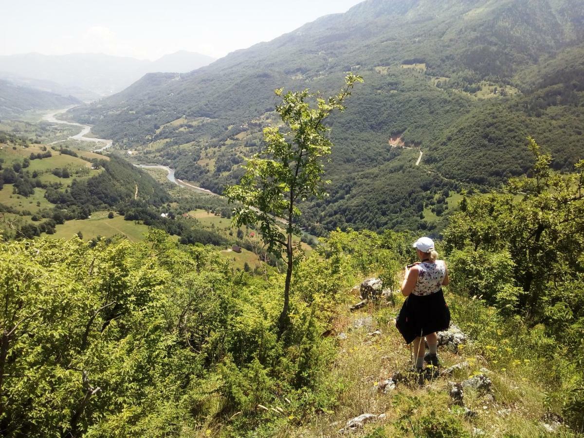 Taramour Cottages. Mojkovac Zewnętrze zdjęcie